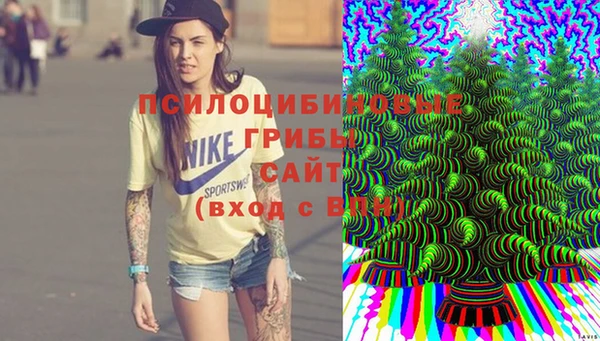 меф Алексин