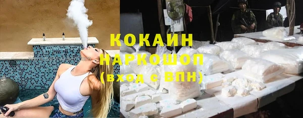 сатива Алзамай